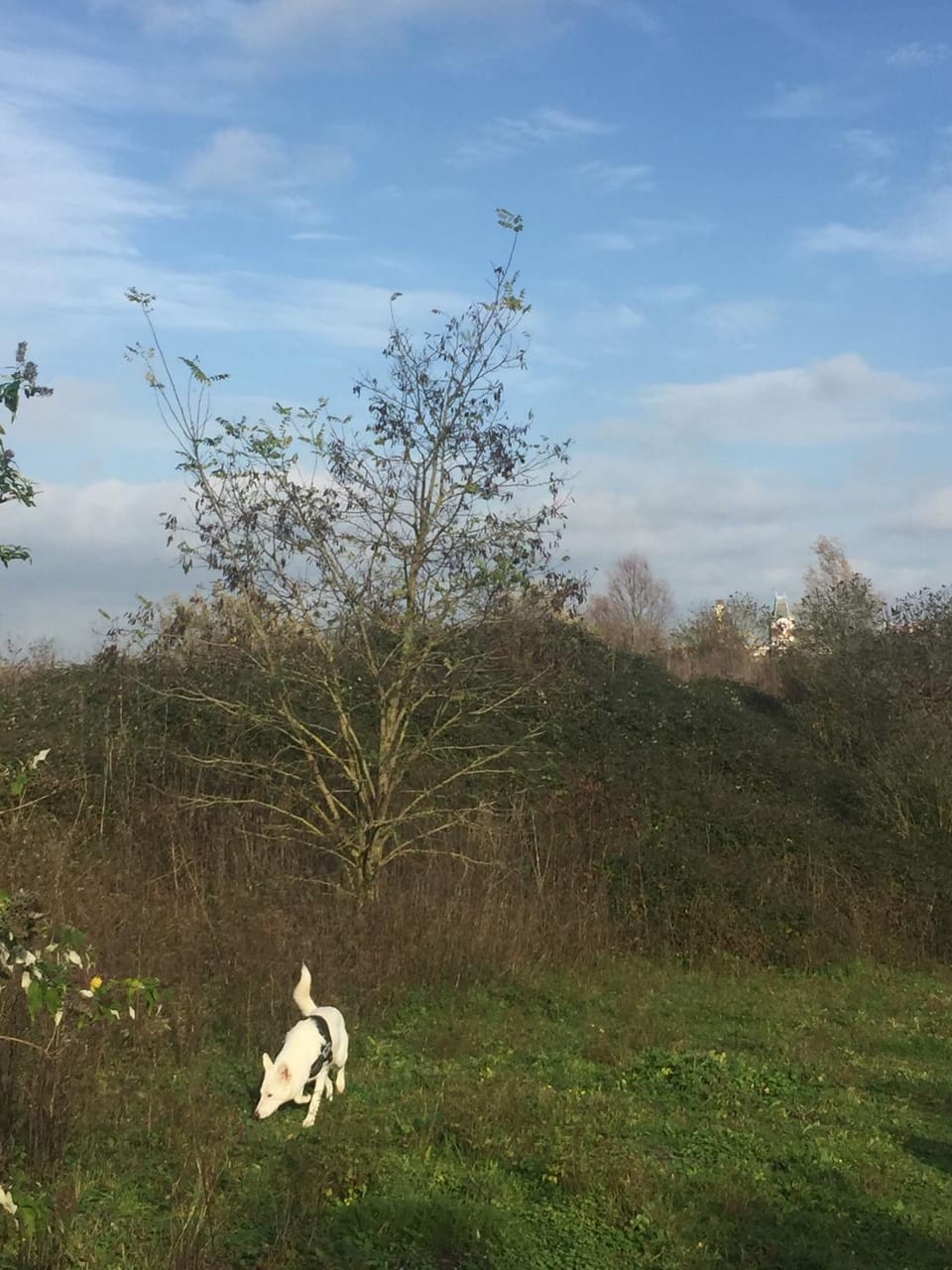 Nearby landmark