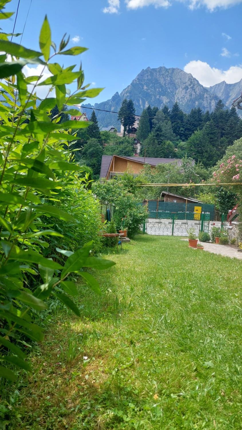 Natural landscape, Garden, Mountain view