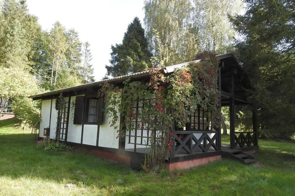 Modrzewiowy domek letniskowy - Stare Czaple House in Pomeranian Voivodeship