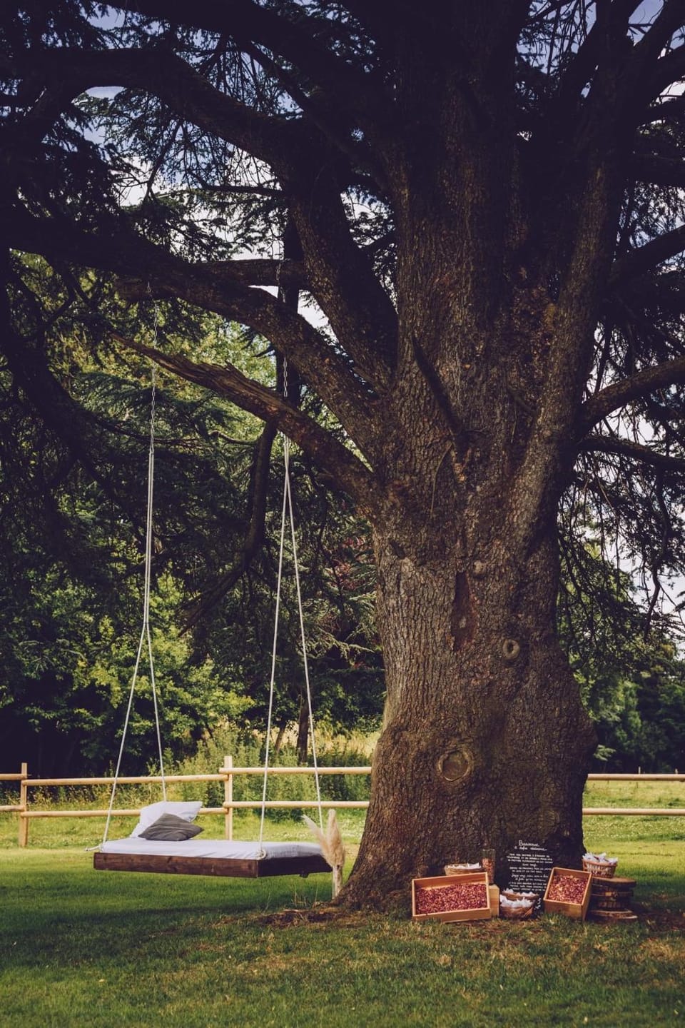 Day, Natural landscape, Garden, Garden view