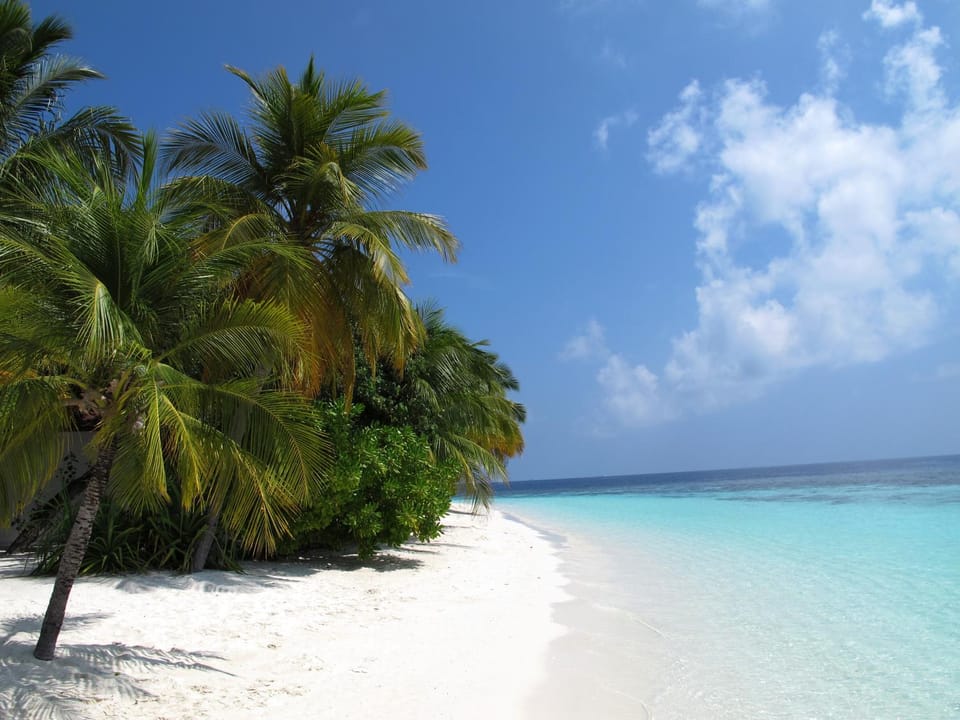 Beach, Beach