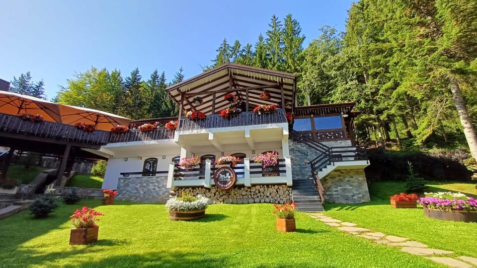 Cabana Schiori Bed and Breakfast in Sinaia