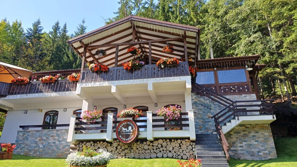 Cabana Schiori Bed and Breakfast in Sinaia