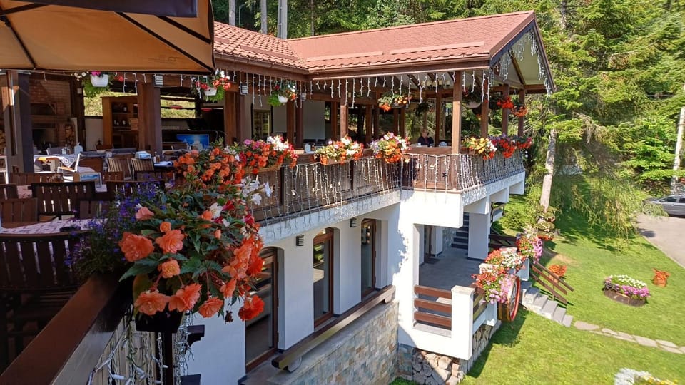Cabana Schiori Bed and Breakfast in Sinaia