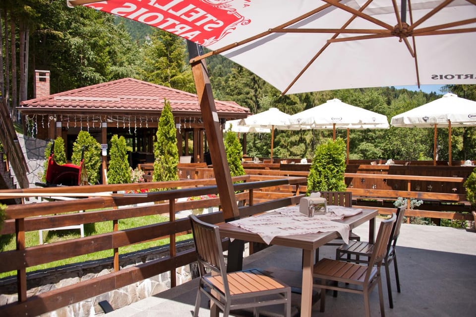 Restaurant/places to eat, Day, Natural landscape, Garden