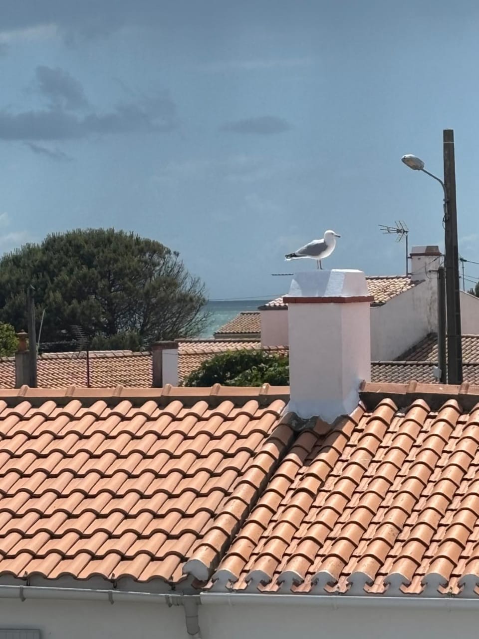 Day, Sea view