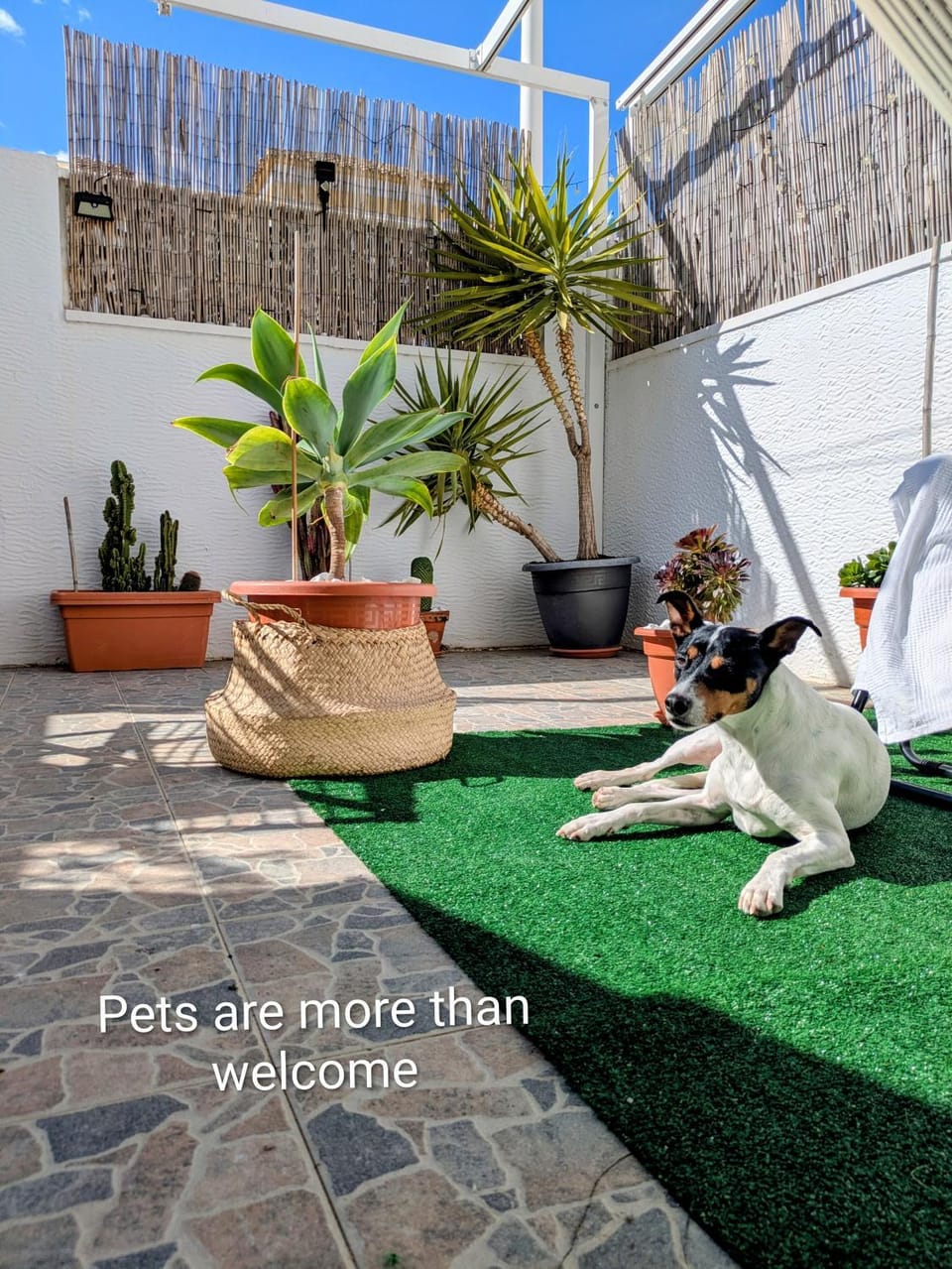 Mediterranean Chill House BBQ & Pools Apartment in Alacantí