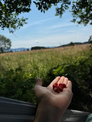 Gnievo Farm Stay in Lower Silesian Voivodeship