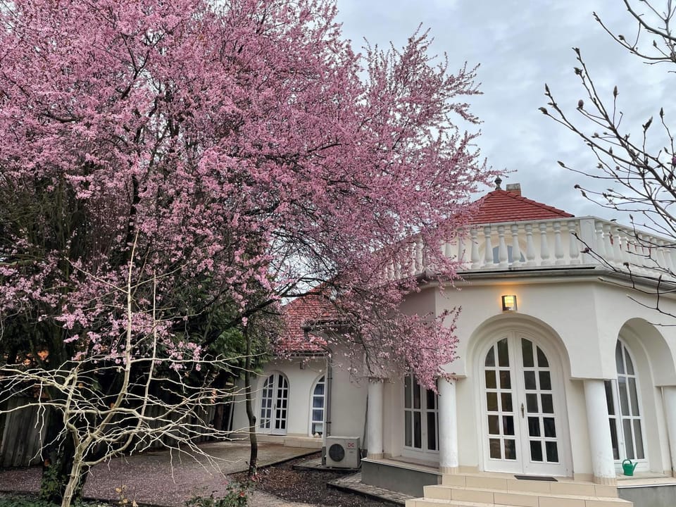 Property building, Patio, Garden
