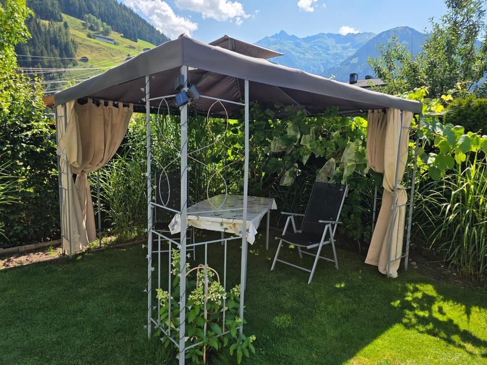 Golf & Ski Appartements Mittersill Trausmuth Monika inkl Sommercard - Golfplatz 500 m entfernt, inkl Waschmaschine, Trockner Apartment in Salzburgerland