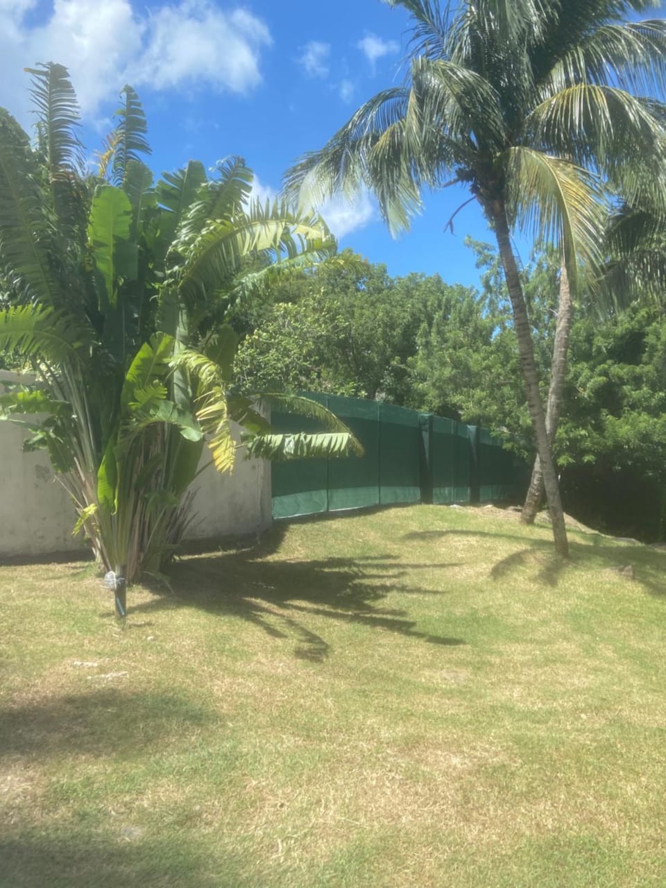 Garden view
