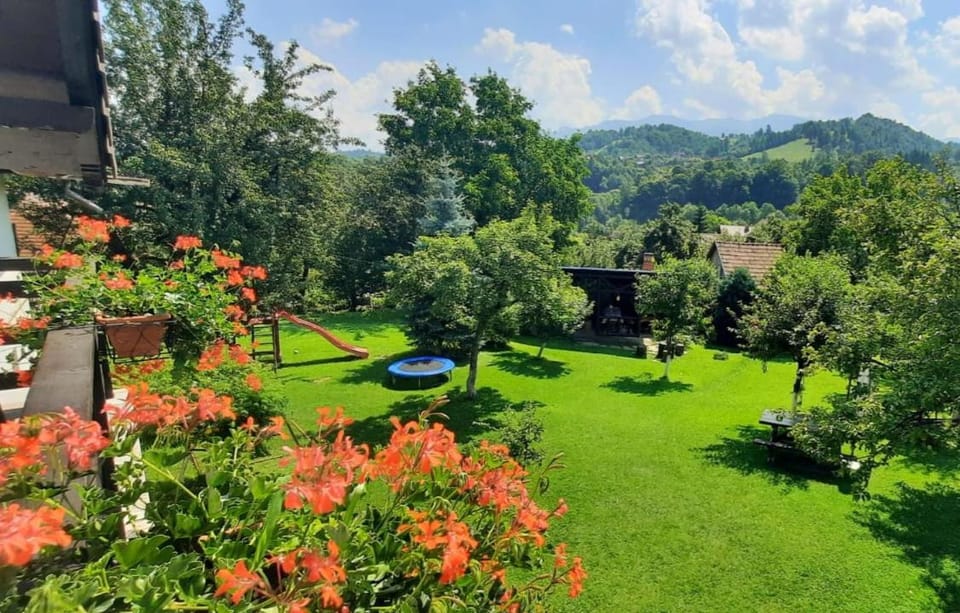 Pensiunea Amarilis Bed and Breakfast in Brașov County