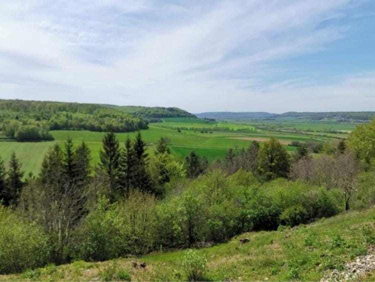 Natural landscape