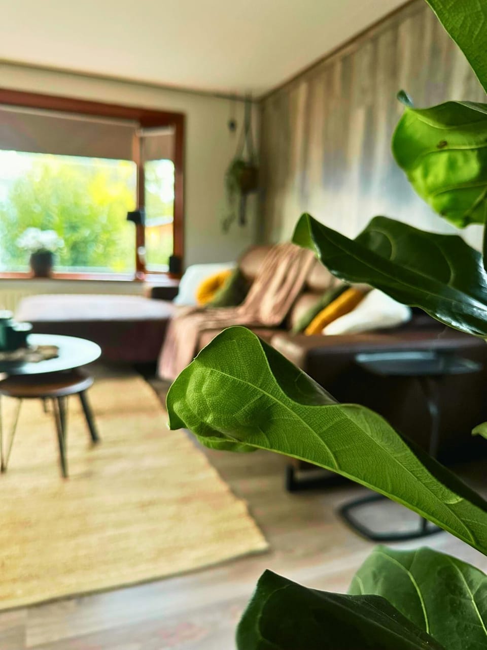 Living room, Decorative detail