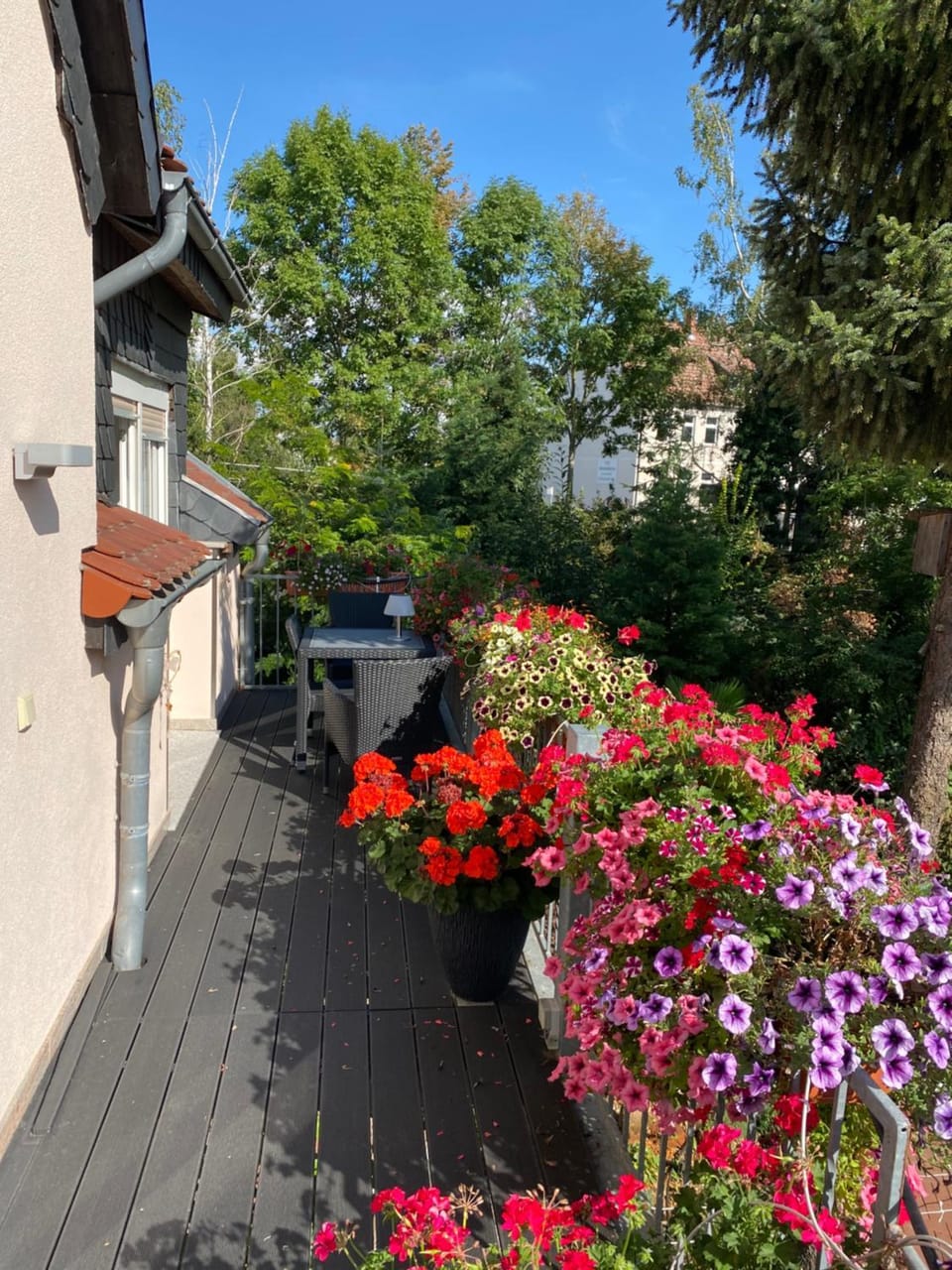 Garden view