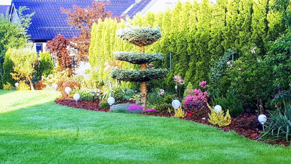 Natural landscape