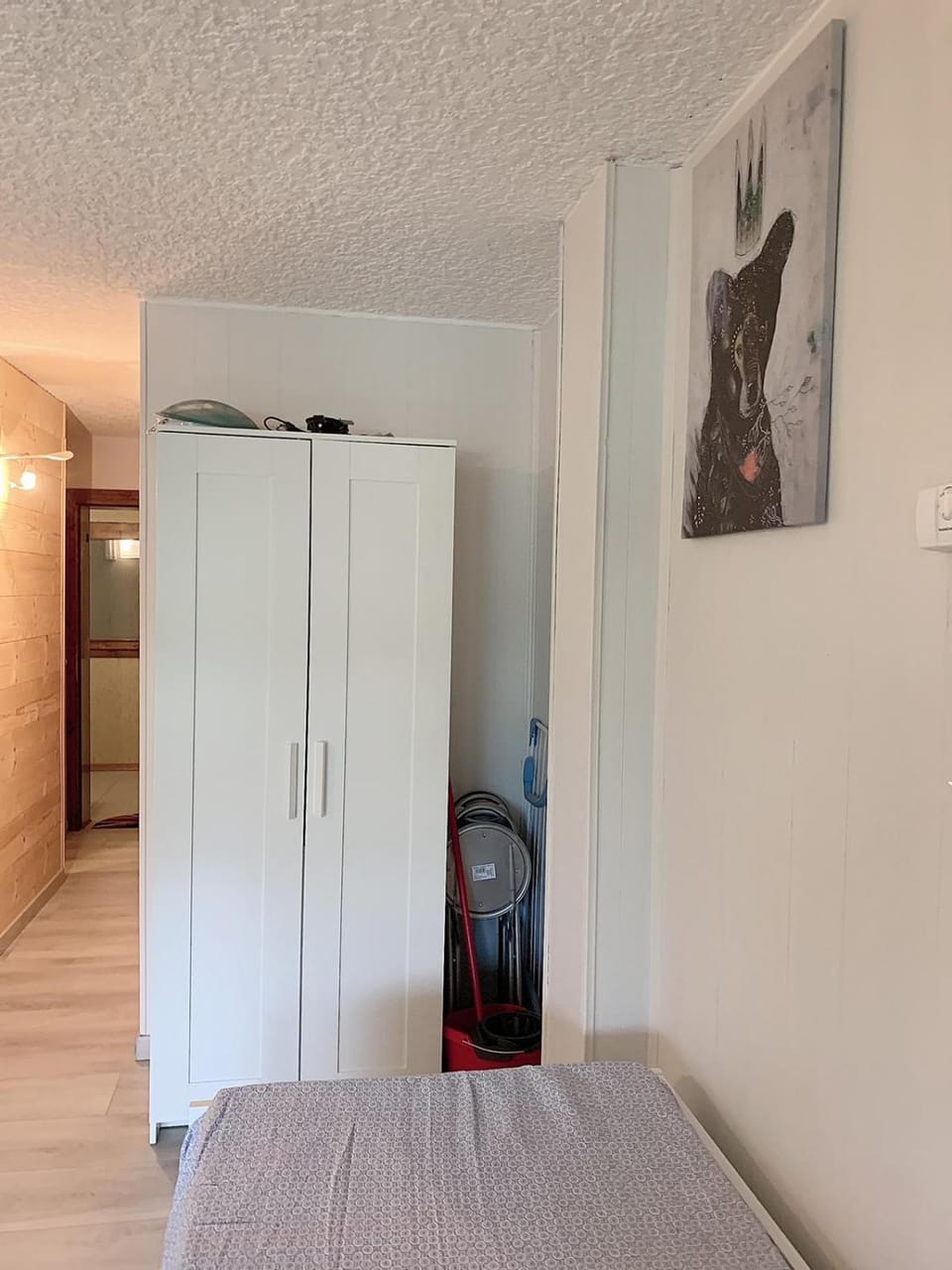 Bilocale residence LE VOLPI Marilleva 1400 Apartment in Province of Brescia