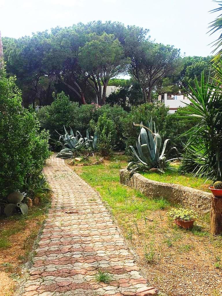 Villa Dei Pini IUN S3571 Apartment in Sardinia