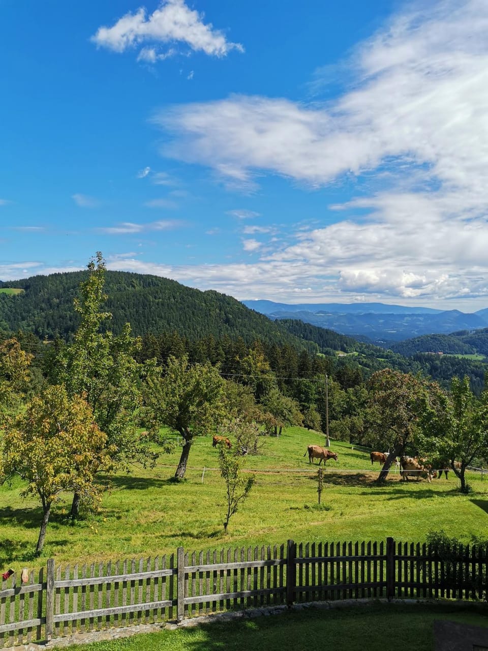 Mountain view
