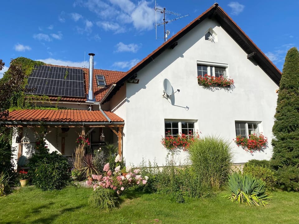 Property building, Garden, Garden view