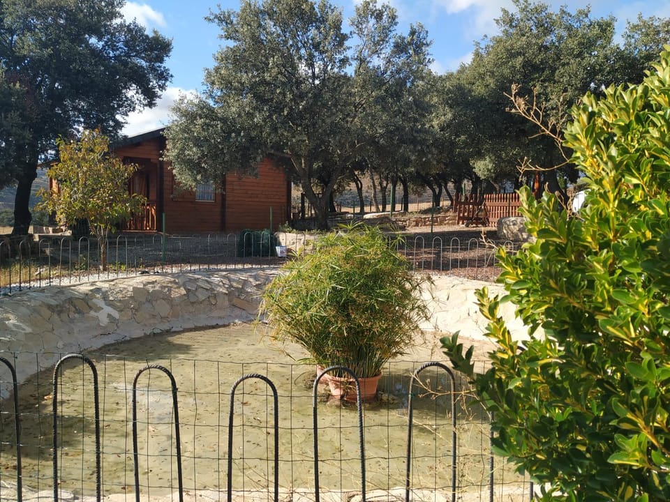 Off site, Autumn