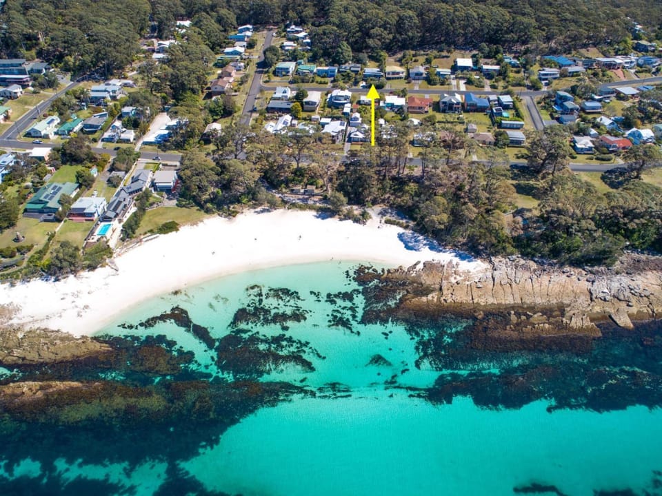Palmwood at Hyams Beach House in Vincentia