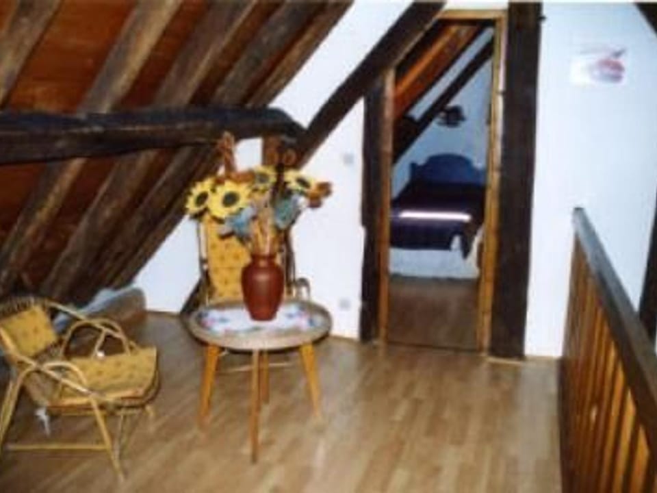 Fermette rénovée proche 24H du Mans, 4 ch., grand terrain, idéal familles et animaux acceptés - FR-1-410-133 House in Pays de la Loire