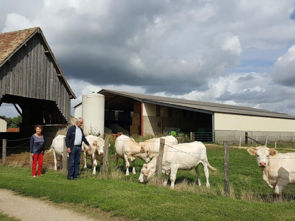 Maison de plain-pied avec jeux, coin pêche et musée du vélo à proximité - FR-1-410-136 House in Pays de la Loire