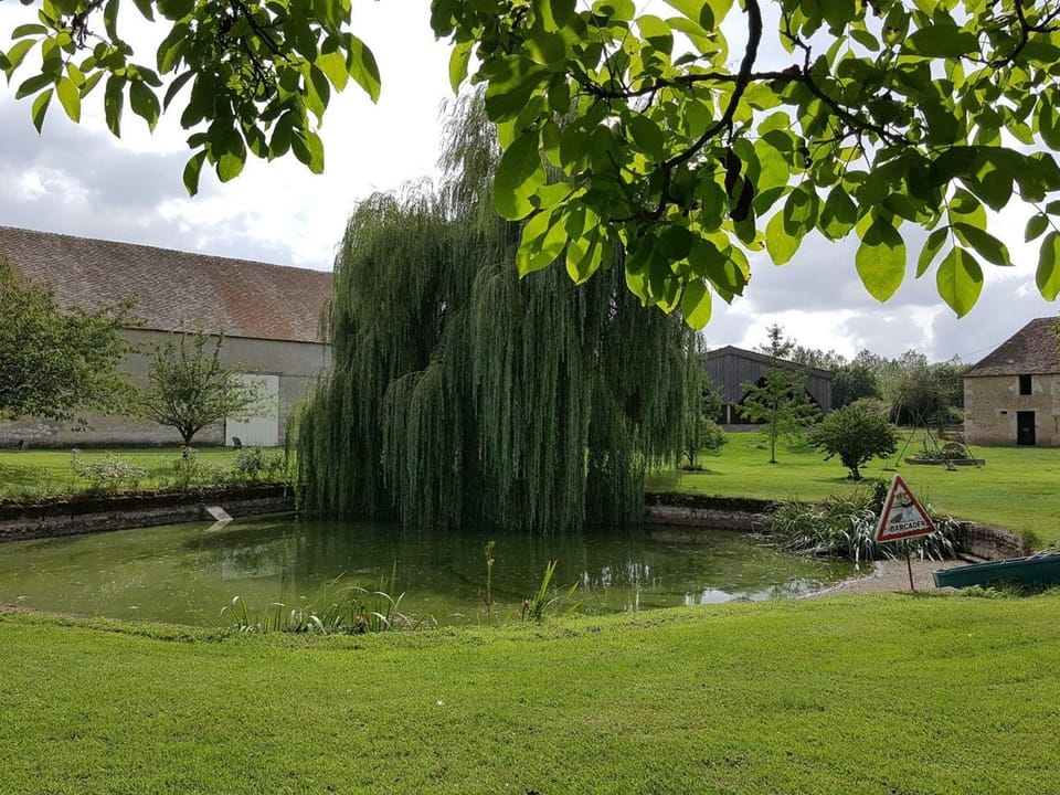 Maison de plain-pied avec jeux, coin pêche et musée du vélo à proximité - FR-1-410-136 House in Pays de la Loire