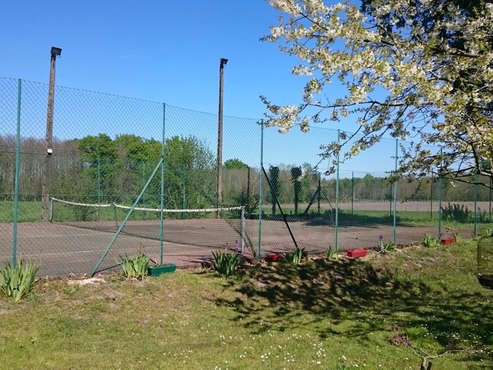 Gîte spacieux avec salle de jeux, tennis et cheminée, idéal pour familles et amis jusqu'à 15 pers. - FR-1-410-223 House in Pays de la Loire