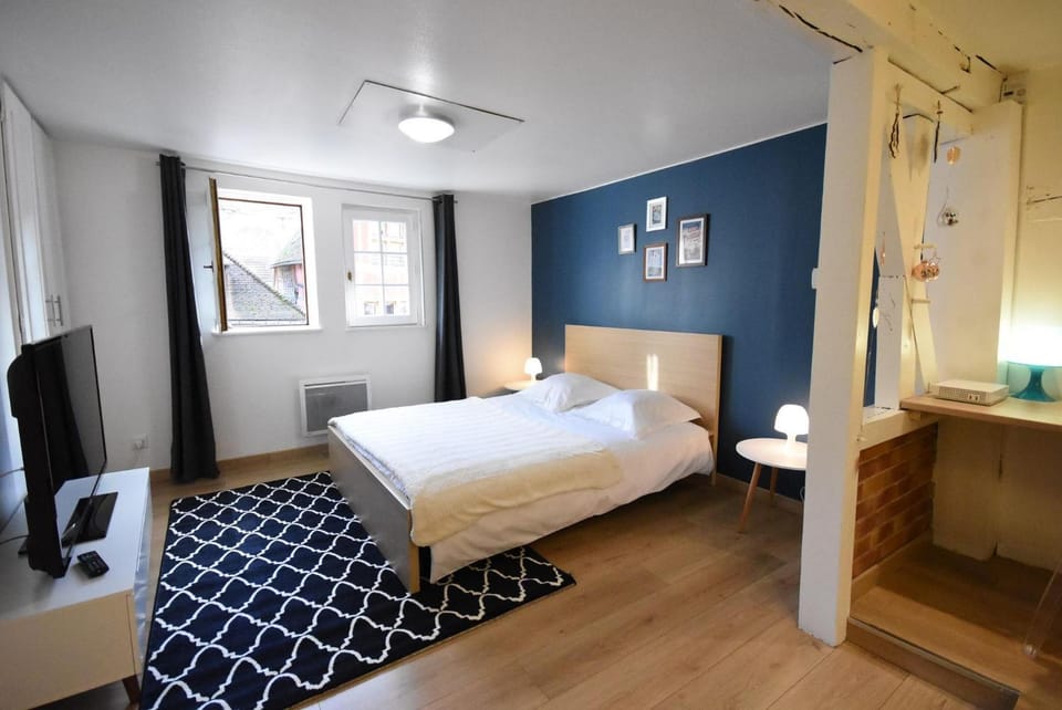 STUDIO dans le COEUR HISTORIQUE (WIFI et GARE) Apartment in Troyes