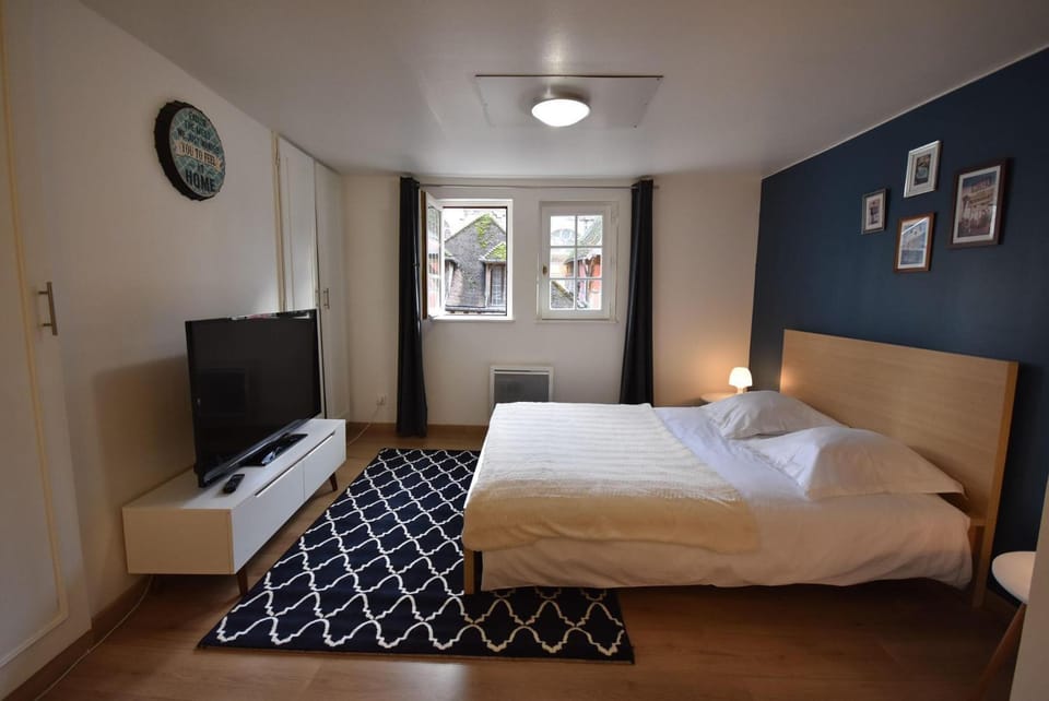 STUDIO dans le COEUR HISTORIQUE (WIFI et GARE) Apartment in Troyes