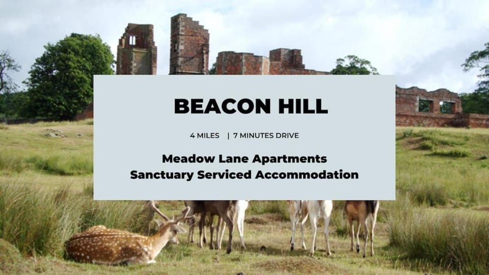 Spacious Ground Floor 2 Bed Apartment Free Parking Pet Friendly Apartment in Loughborough