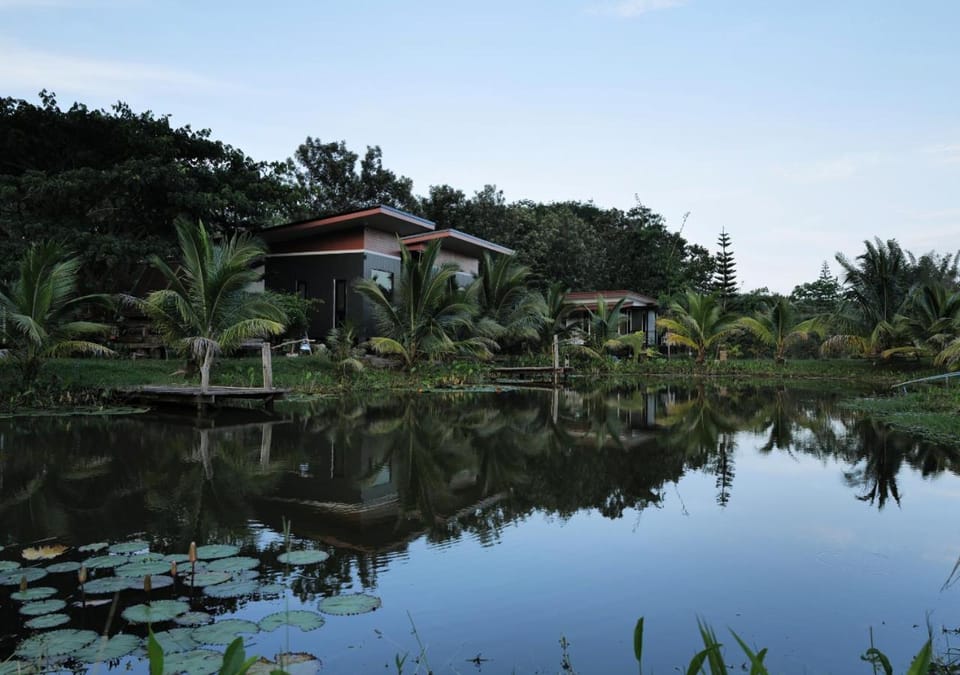 Property building, Pool view