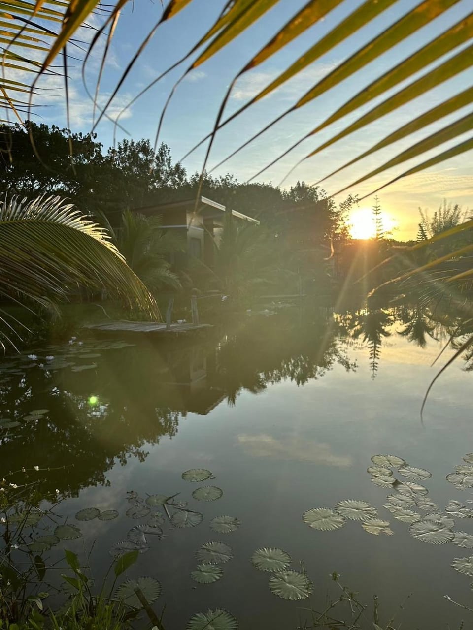 Garden view, Sunrise