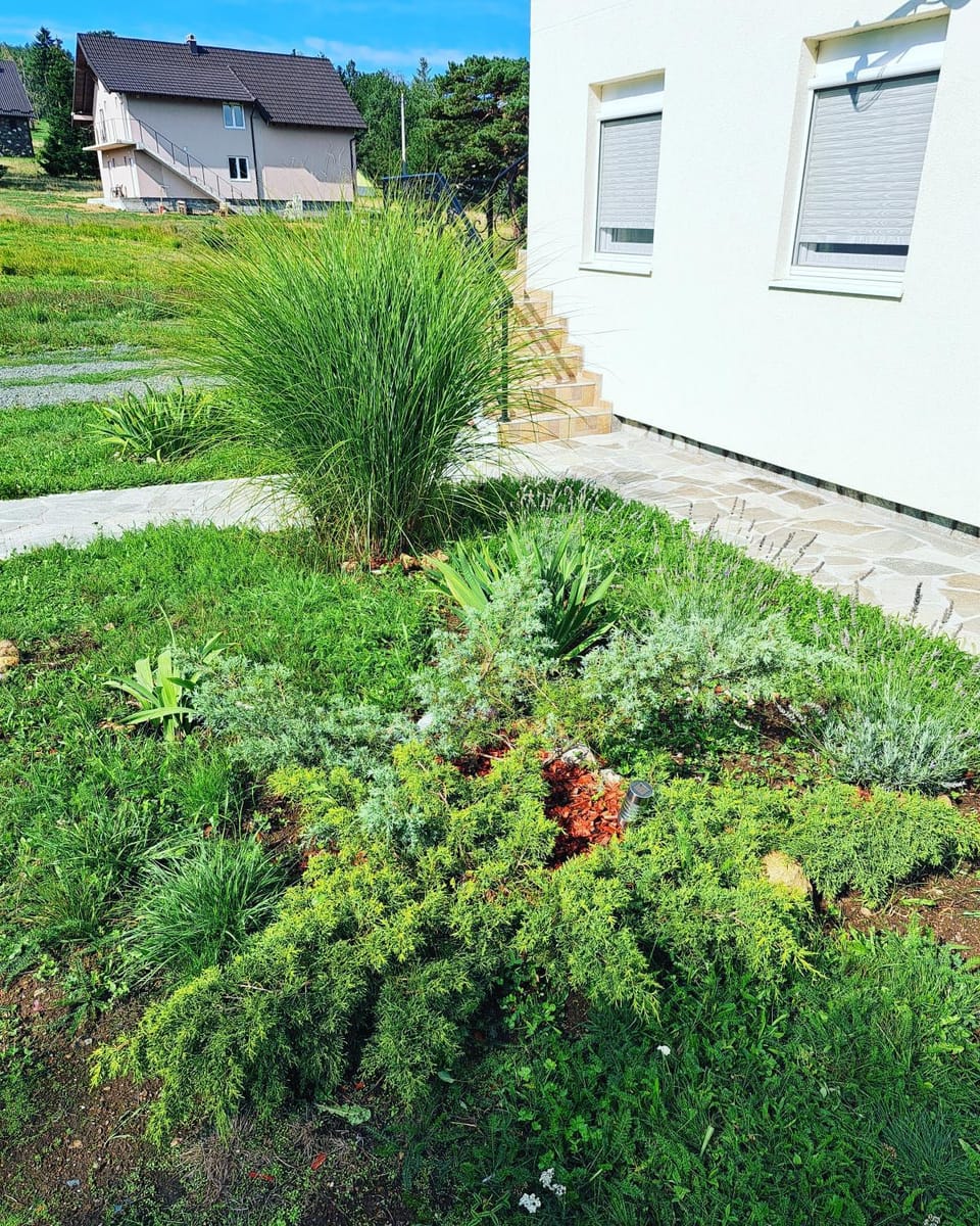 Natural landscape, Garden