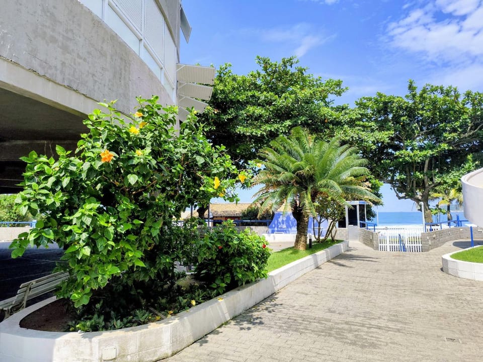 Beach, Area and facilities