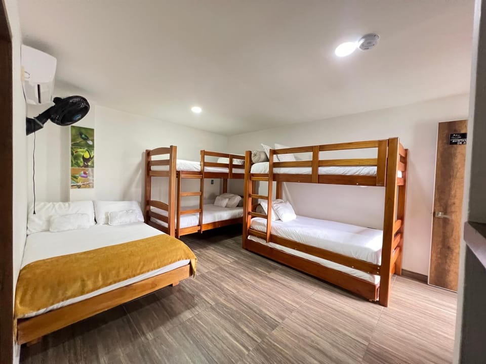 Bed, Photo of the whole room, Bedroom, bunk bed, air conditioner