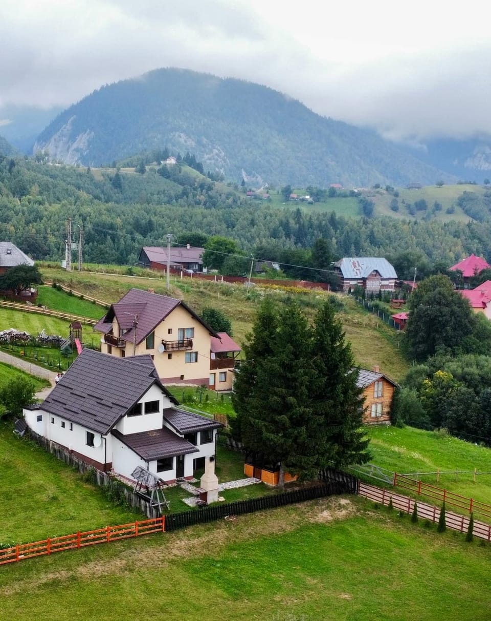 Vila Panoramic Pestera Villa in Brașov County