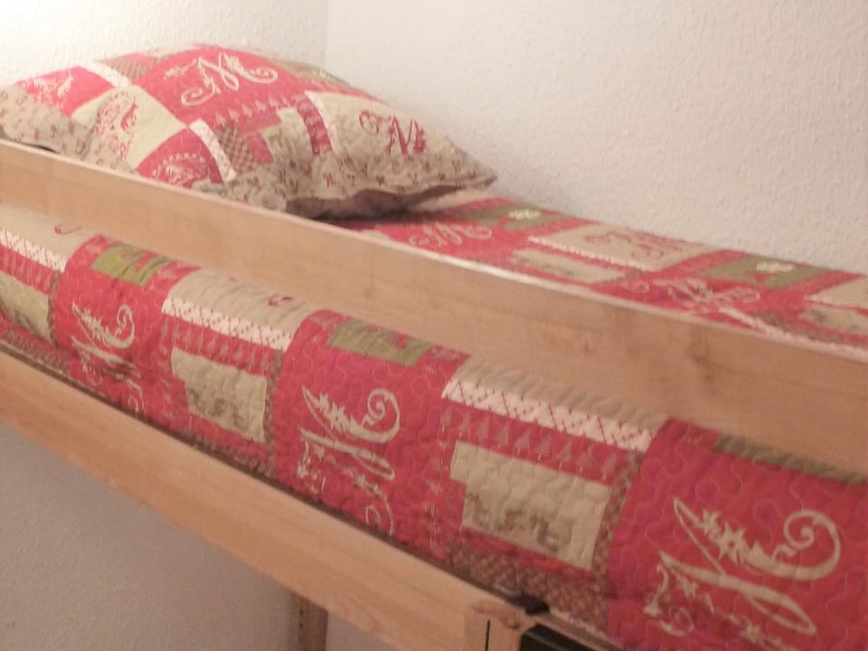 Studio pieds des pistes, proche quartier Bruyères, skis et animaux admis - FR-1-574-18 Apartment in Les Allues