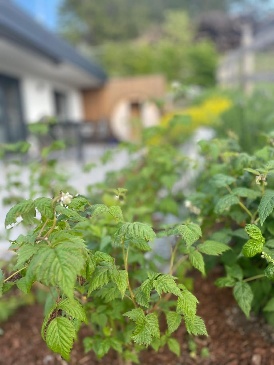 Property building, Spring, Day, Garden, Balcony/Terrace, Garden view