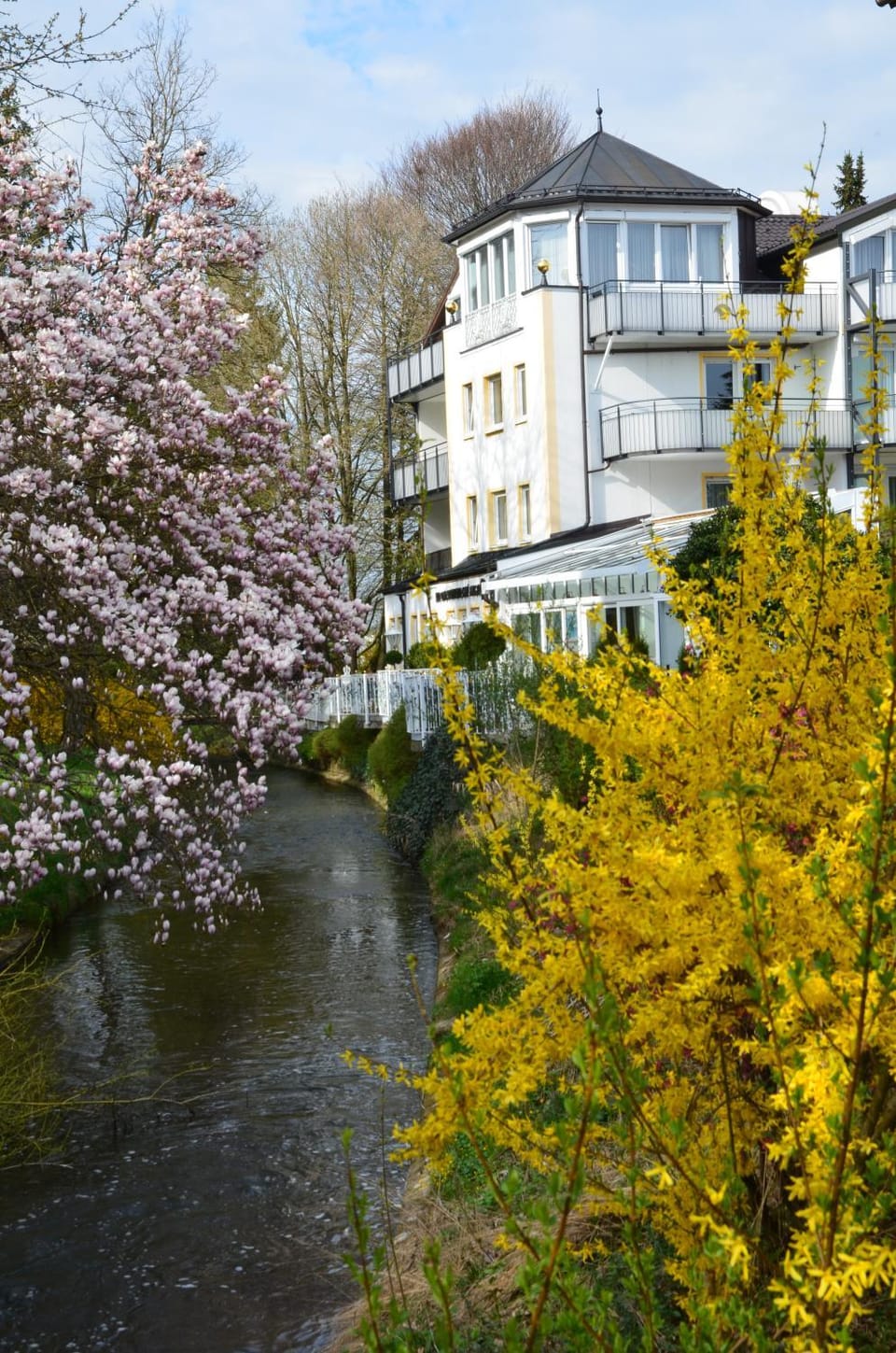Property building, Spring, Garden view