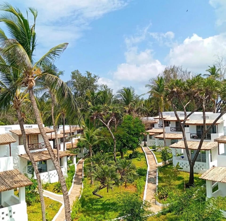 Day, Garden view