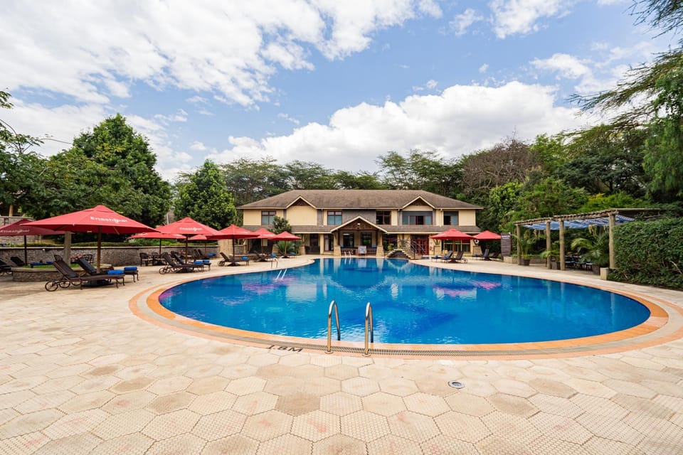 Pool view, Swimming pool