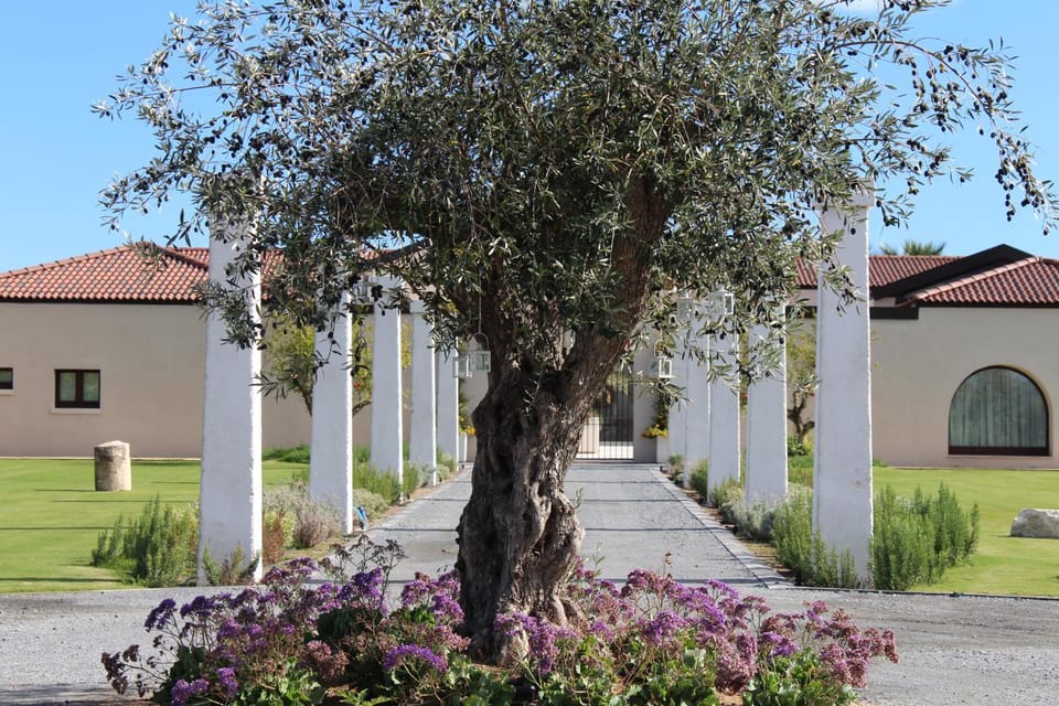 Property building, Facade/entrance, Garden