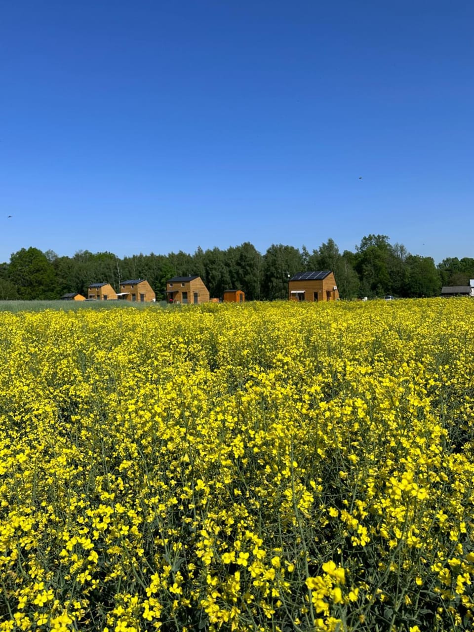 Domek na Roztoczu Sauna & Jacuzzi Chalet in Poland