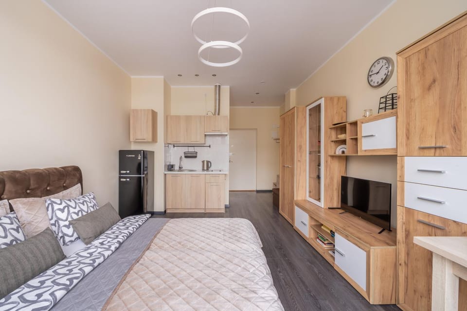 Bed, TV and multimedia, Kitchen or kitchenette, Living room, Photo of the whole room, Seating area, Dining area, stove