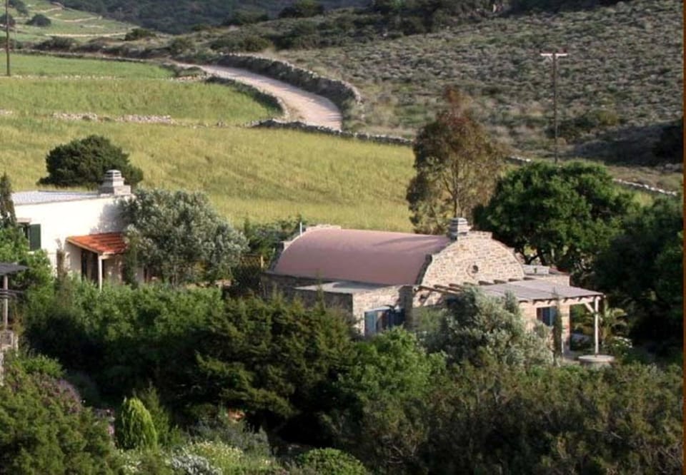 Property building, Natural landscape, Bird's eye view, Garden, Mountain view