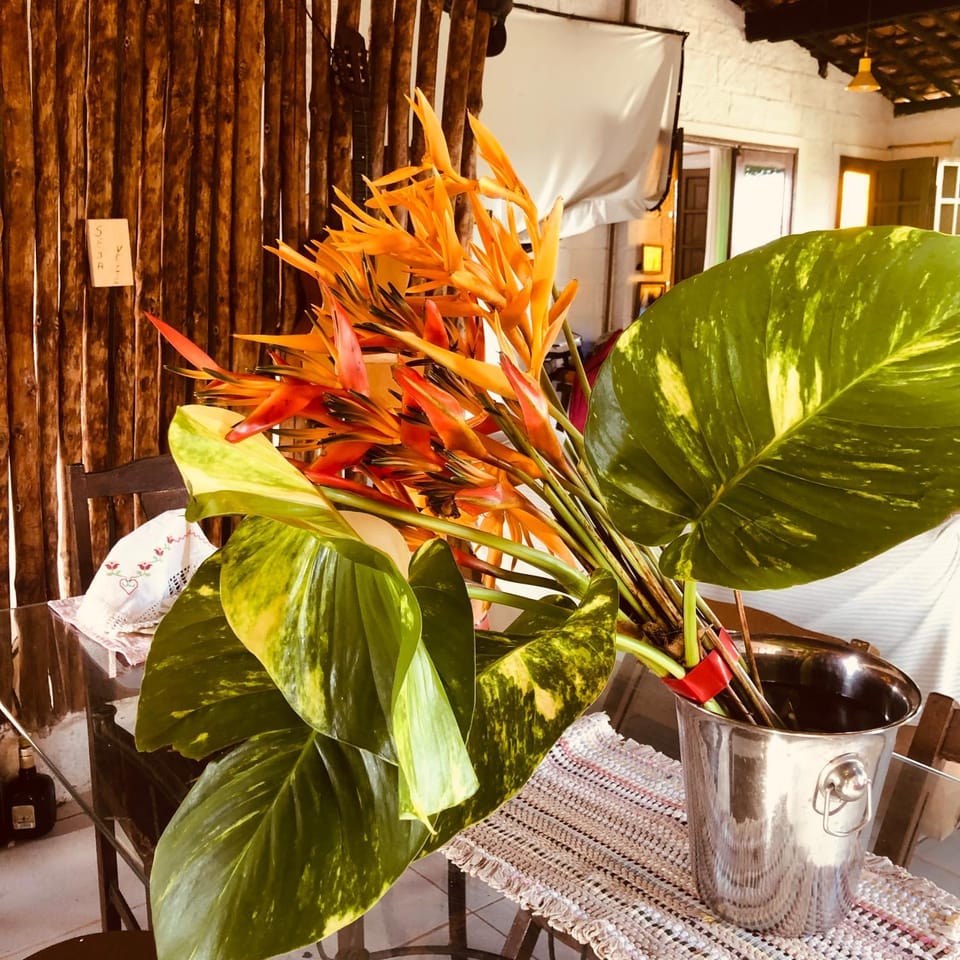 Pousada Bela Vista ATAPUZ Inn in State of Paraíba, Brazil
