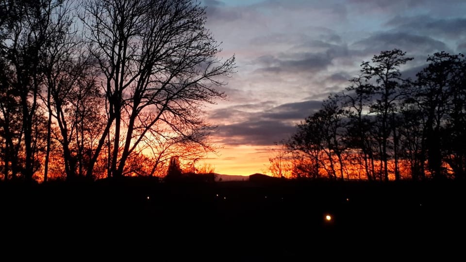 View (from property/room), Sunset